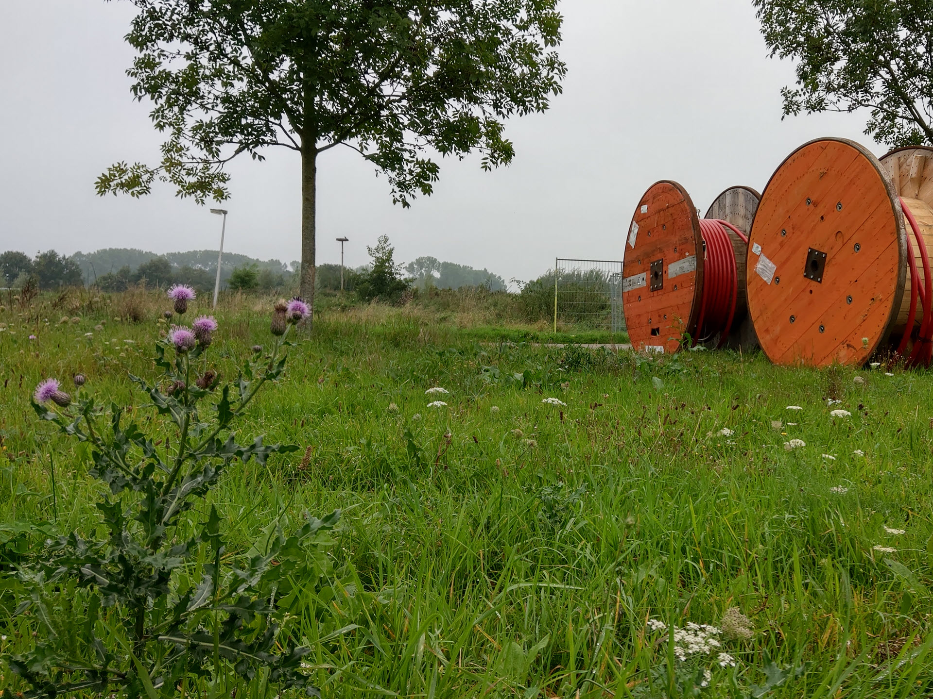 Enexis start werkzaamheden voor Polycultuur Zonnepark De Mikkelhorst